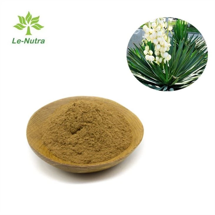 Yucca Extract Powder
