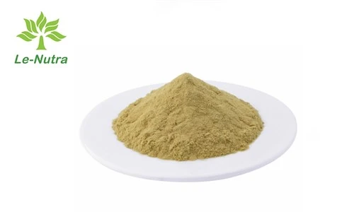 Serrapeptase Enzyme